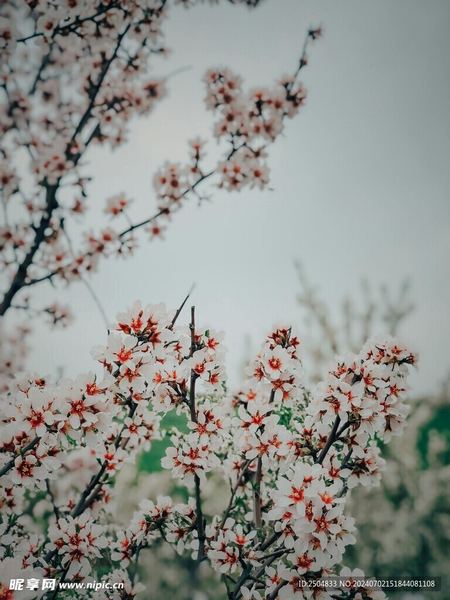 双子座为什么忽冷忽热：看懂这篇你就释然了