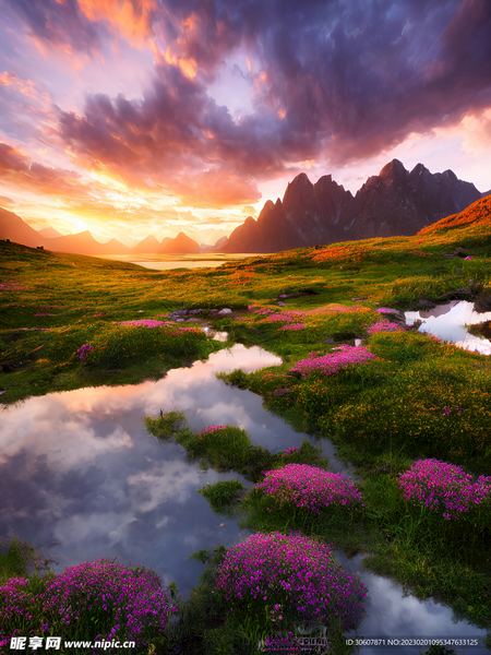 讨好型人格怎么改变的真相，99%的人不知道