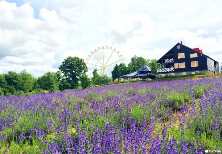 【戒手机】孩子沉迷手机怎么管的5个实用方法，第3个最有效