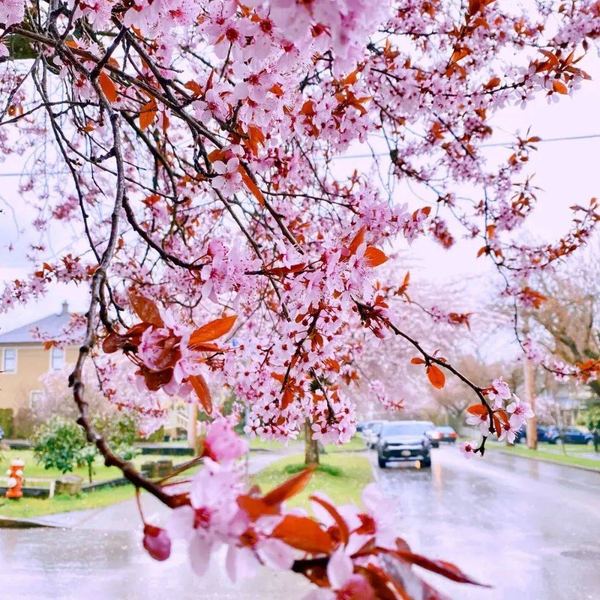 社恐怎么谈恋爱：一个过来人的血泪教训