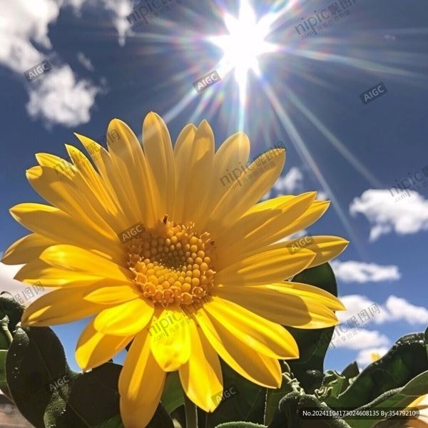 喜欢上已婚的人怎么办？换个角度想，问题就解决了一半