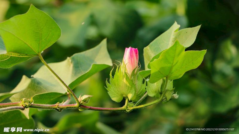 长得不好看怎么找对象？心理学角度帮你深度剖析