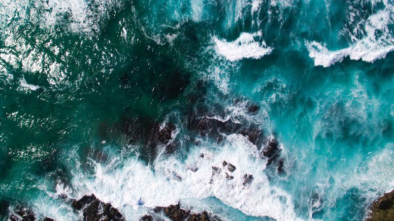 职场新人被欺负背后的心理学原理，看完就明白了