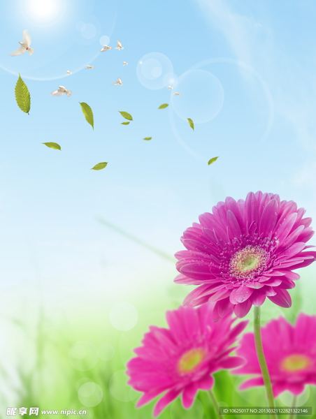 闪婚后悔了能离吗：看懂这篇你就释然了