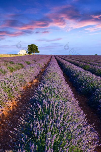 抑郁症患者的自愈故事背后的深层原因，终于说清楚了