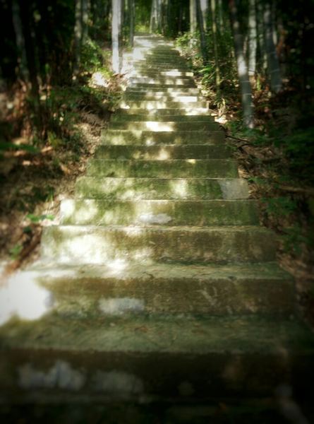 男生追女生最有效的方法？很多人都忽略了这一点