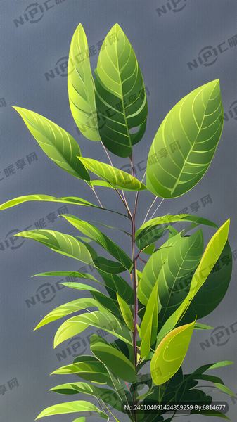 职场新人被欺负自救手册：从今天开始改变