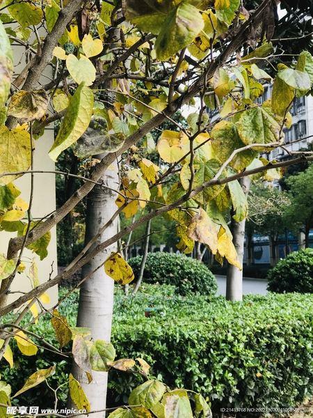 每天坚持做一件小事的力量？心理学教你正确应对