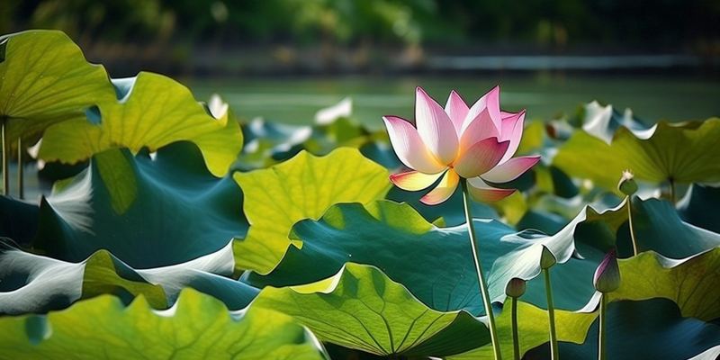 分手后还能做朋友吗？认清这几点，你就不纠结了