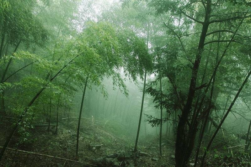 运动可以治抑郁是真的吗？很多人都忽略了这一点