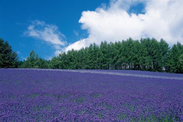 【夫妻之道】经济独立的女人婚姻更幸福吗？心理专家一针见血的分析