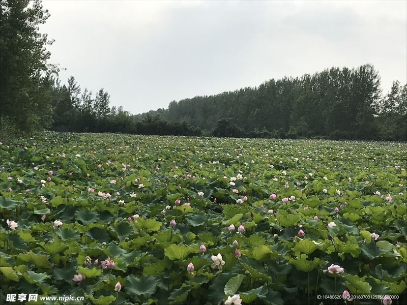 父母偏心对孩子的影响：写给每一个正在经历的你