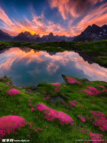 【数字排毒】拖延症是心理疾病吗？心理学家推荐的4步自救指南