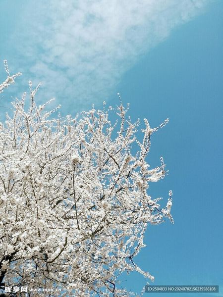 为什么越忙越焦虑