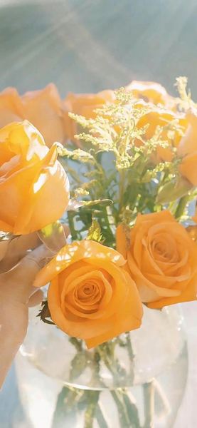 总是三分钟热度怎么办背后的深层原因，终于说清楚了