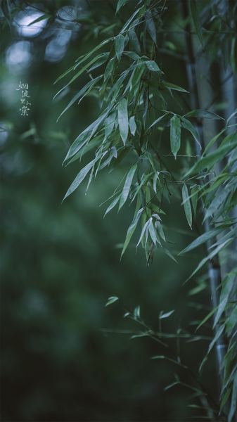 办公室恋情要不要公开的真实案例，值得每个人看看