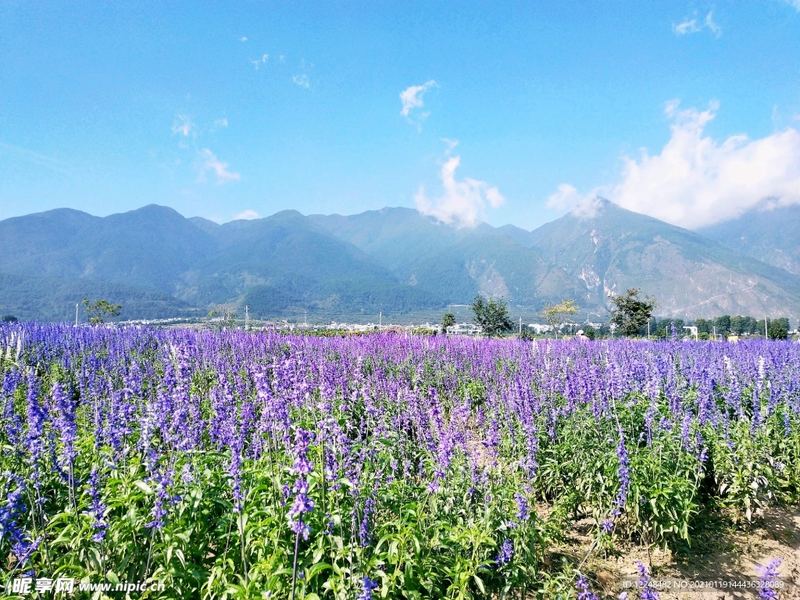 怎么拒绝同事不合理的请求？别慌，看完这篇你就有方向了