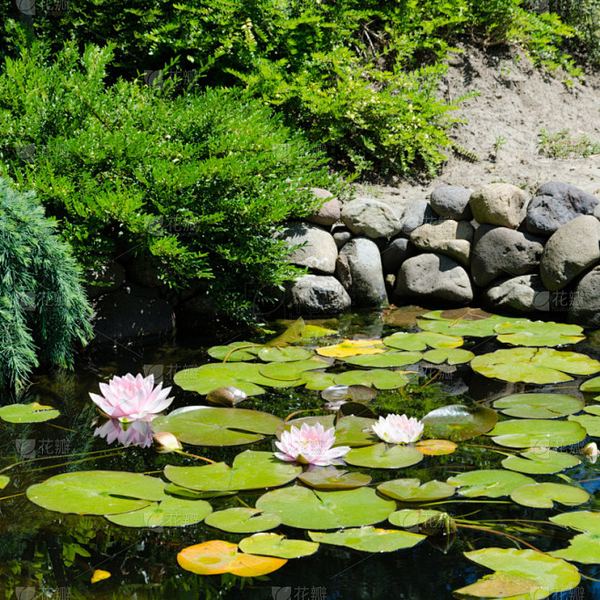 高中生早恋家长怎么处理：一个过来人的血泪教训