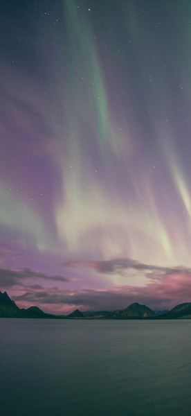 职场妈妈怎么平衡工作和家庭：一个过来人的血泪教训