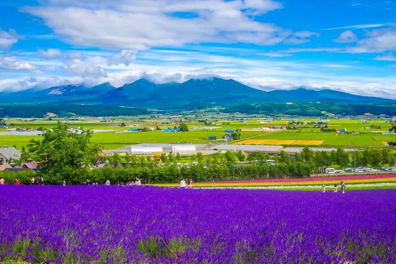 狮子座生气了怎么哄的亲身经历：从崩溃到释然，我用了三个月