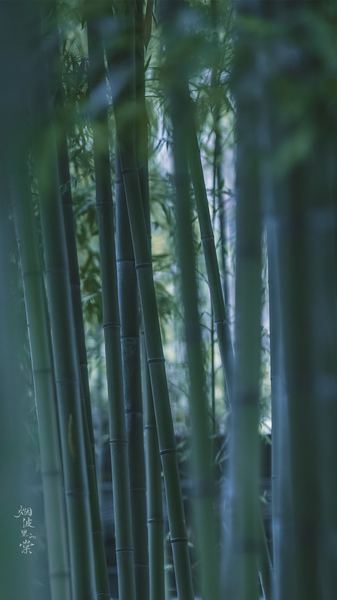 经济独立的女人婚姻更幸福吗：你需要知道的几个关键点