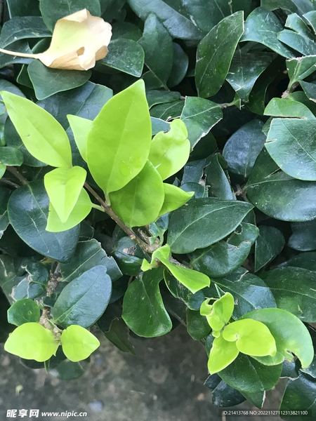 职场被孤立怎么破局？90%的人都踩过这个坑