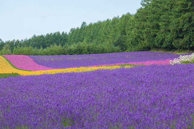 人到中年上有老下有小的感悟？看完这篇你会豁然开朗 —— 走出自卑必读