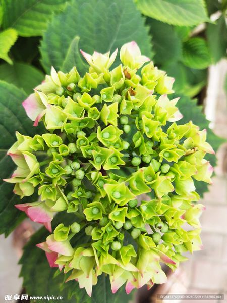 关于前任找你是想复合还是暧昧，一个真实故事改变了我的看法