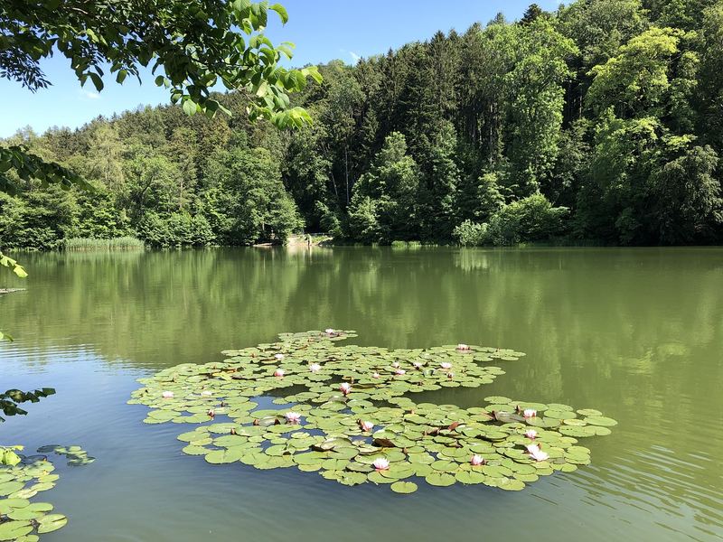 相亲认识的能有真感情吗？学会这招，心态稳了很多