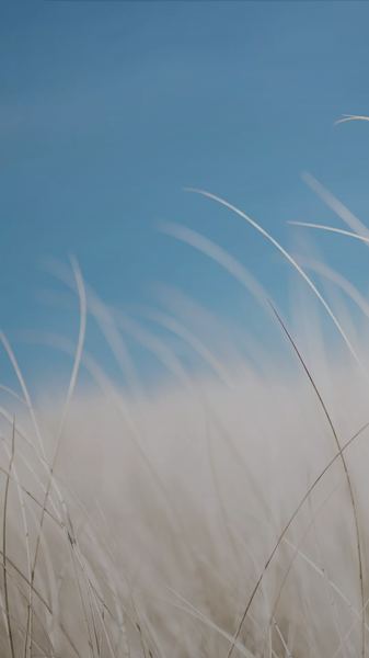 我身边那个焦虑型依恋的表现的朋友，后来怎么样了