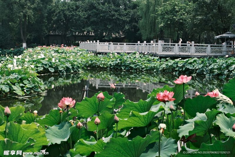 人生迷茫不知道做什么？可能你一直理解错了