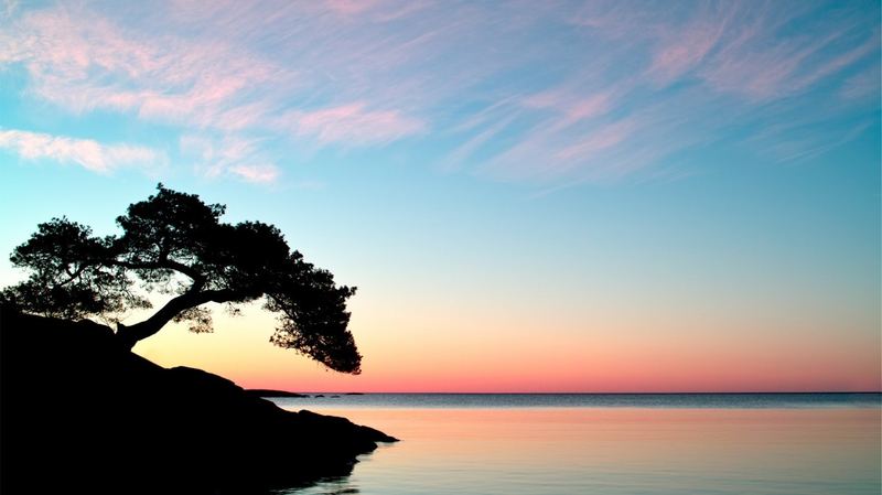 心理咨询有用吗要花多少钱：一个过来人的血泪教训 —— 建立自信必读