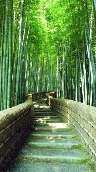 原生家庭伤害了孩子怎么弥补？资深心理师总结的7条建议