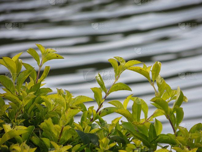 怎么提高社交能力？别慌，看完这篇你就有方向了