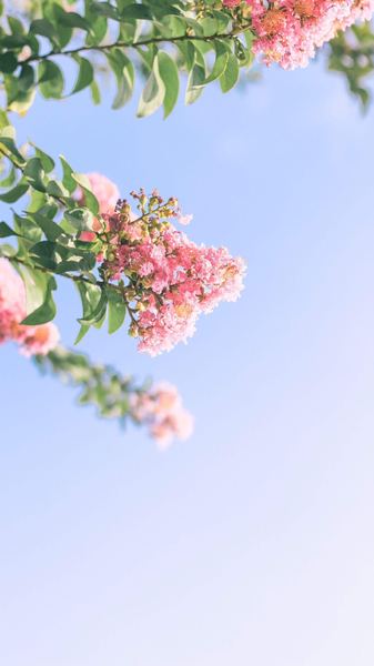 考前焦虑怎么缓解：一个过来人的血泪教训