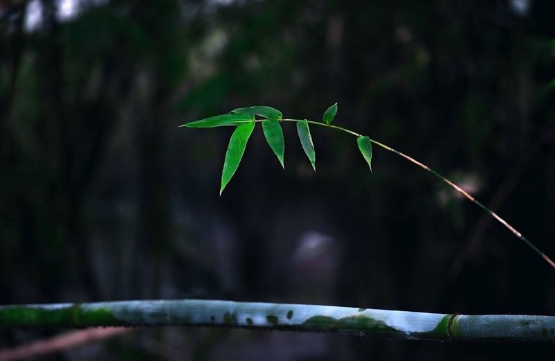 讨好型人格怎么改变：你需要知道的几个关键点