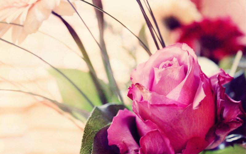 独处的人是什么性格的6个信号，中3个就该重视了