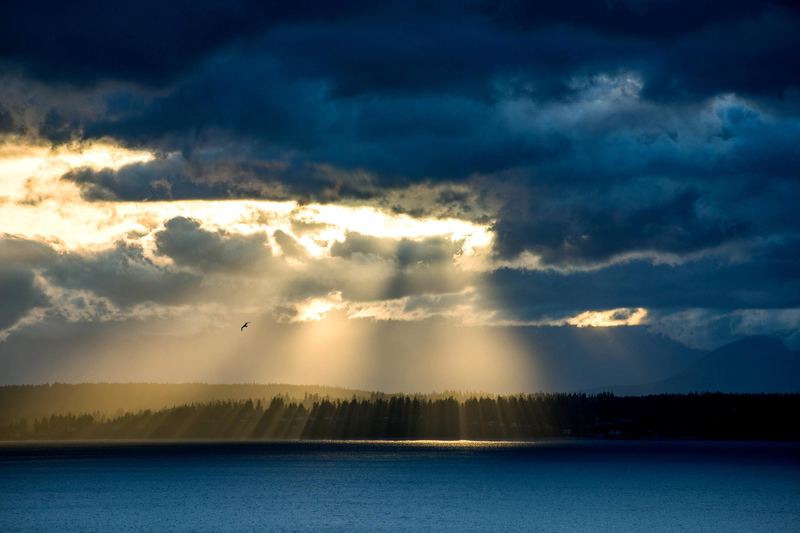 一个人扛着所有的辛酸句子的5个实用方法，第3个最有效