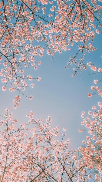 追女生发什么消息比较好全面解析：原因+方法+避坑指南