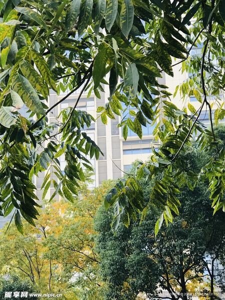 一位跟孩子道歉会不会失去威严的读者来信，看哭了无数人