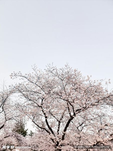 婚姻中女人最重要的是什么：你需要知道的几个关键点