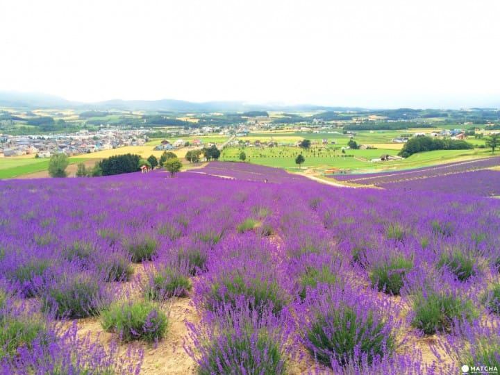 i人和e人什么意思MBTI背后的心理学原理，看完就明白了