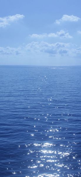 i人和e人什么意思MBTI的真相，99%的人不知道