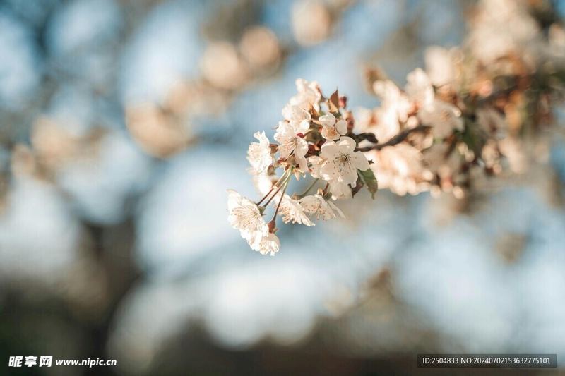 孩子厌学怎么引导？很多人都忽略了这一点