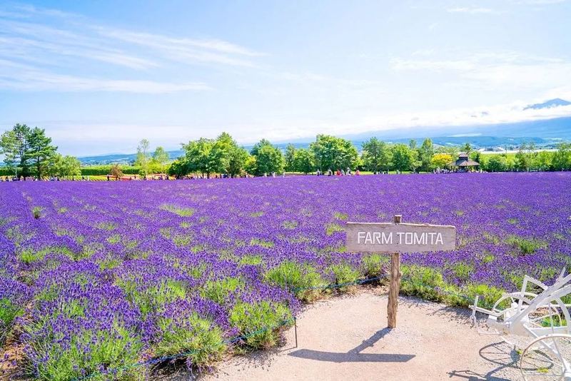 焦虑症能自愈吗背后的心理学原理，看完就明白了