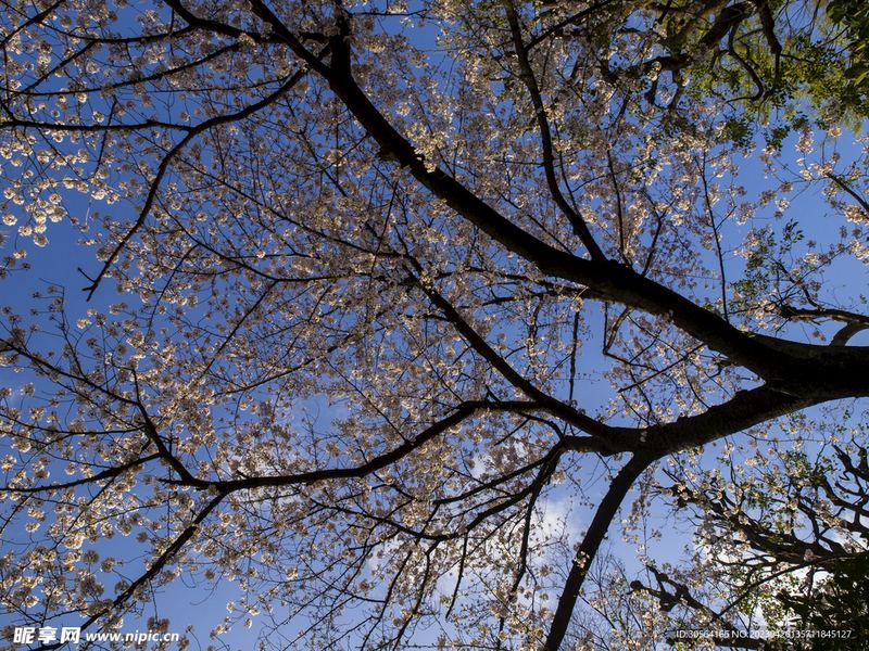 家庭关系：丈夫出轨妻子该怎么做？心理学角度帮你深度剖析