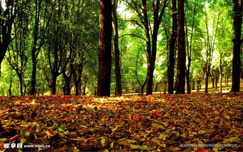 音乐疗法有科学依据吗自救手册：从今天开始改变