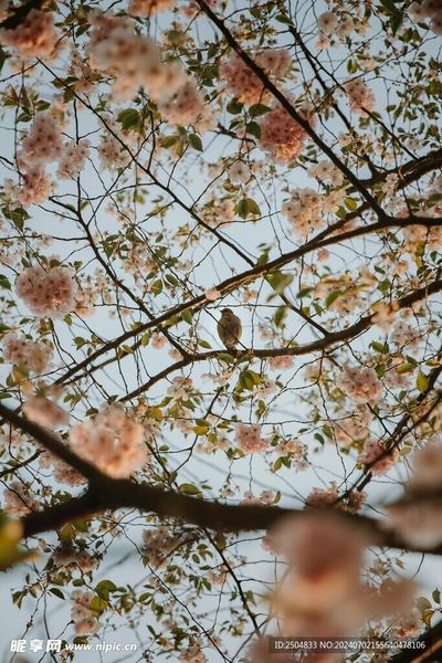 了解自己的身体才是一切亲密的起点（专家解读）