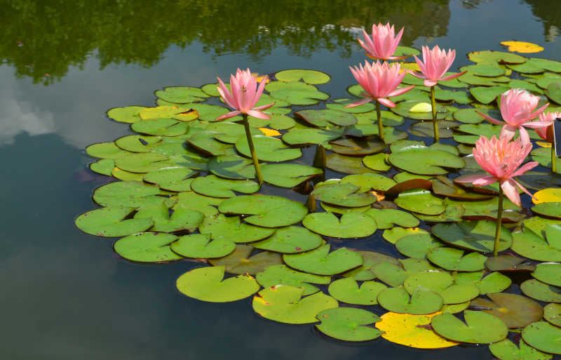 被裁员后如何调整心态重新出发