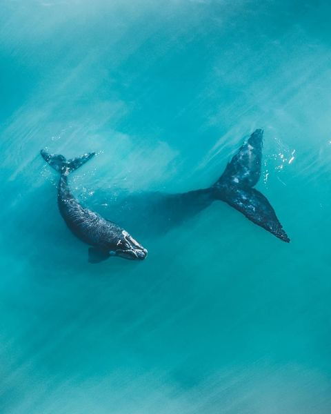 我身边那个面试紧张怎么克服的朋友，后来怎么样了